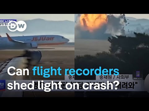 Jeju Air plane crash: What happens to an aircraft when a so-called bird strike occurs? | DW News